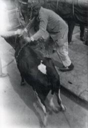 /medias/customer_2/NUMERISATION_2025/45 Fi Collection Pierre Allier/45_Fi_252_jpg_/0_0.jpg